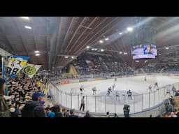 HOCKEY SOBRE HIELO, HOPP HCD!!💙💛