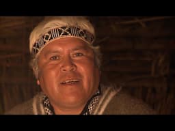 Mapuche HD