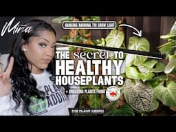 THE SECRET TO HEALTHY HOUSEPLANTS