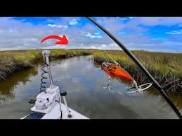 So...You Want to Catch RED DRUM using only LURES? Watch THIS! [Simple & Easy Fishing]