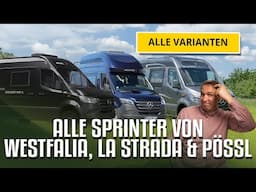 Mercedes Sprinter Kaufberatung: Alles über Modelle & Grundrisse