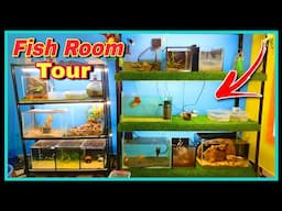 😍 Fish Room Complete Tour and Update of All Pets and Fishes 😍