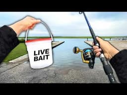 Eating Whatever I Catch.. Fishing a NEW Boat Ramp (Catch and Cook)