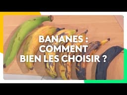 Bananes : comment bien les choisir ?