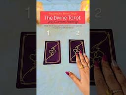 Unki current feelings Today | The Divine Tarot | Hindi Tarot Reading | Timeless | Pick a Card