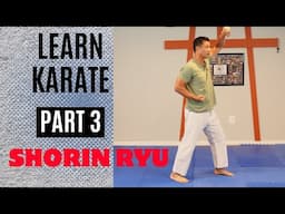 Martial Arts Tutorial | Shorin Ryu | Part 3 (Fukyugata Ni Kata)