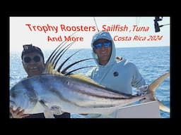 Trophy  Roosters , Mahi , Tuna , Sailfish and more in Costa Rica - 2024