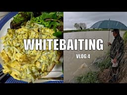 Shoals of Whitebait in Rain Wind Dirty Water - CATCH & COOK