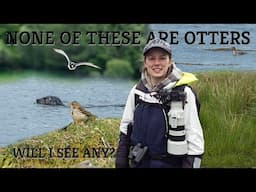 Searching for Otters on Loch Don, Isle of Mull