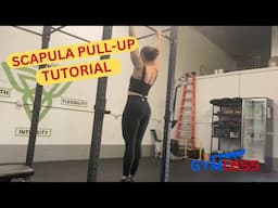 The Scapula Pull-up: A Simple Guide for Beginners