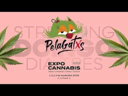 Expo Cannabis 2024 - Domingo - Día Tres