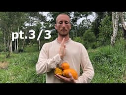 Fruitarianism and Intuitive Spiritual Work pt.3/3 - Amazon Fruit Festival 2020