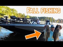 This NEW LAKE was LOADED with Spotted Bass!! (Fall Fishing 101)