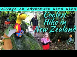 Must See Hidden Gem | Labyrinth Rocks | South Island Return S7 Ep6