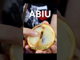 ABIU - Like jello that grows from a tree