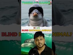 😨How Dolphin 🐬 saves Ganga 🏞️River🤔