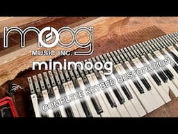 Minimoog Model D Complete Keybed Restoration of Vintage Moog Synthesizer