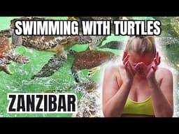 We went Swimming with Turtles in Zanzibar: Baraka Natural Aquarium Nungwi