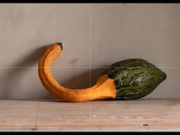 Foxton Friday Live - Quirky Squash: Painting a squash live