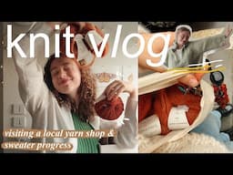 knit vlog 🍂 | visiting a local yarn shop in France & sweater progress