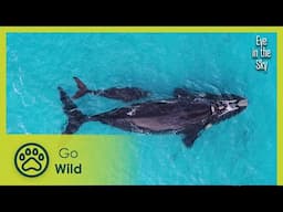 Western Australia | Eye in the Sky 3/5 | Go Wild