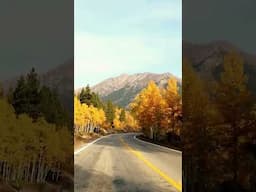 Driving through Colorado in the fall