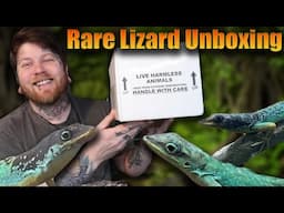 Unboxing Rare Reptiles You Haven't Seen Before