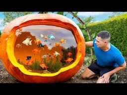 I Turned A Pumpkin Into A Fish Aquarium