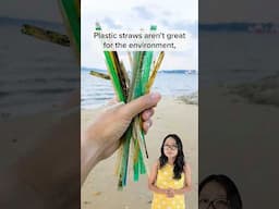 Are non-plastic straws really better for the environment?