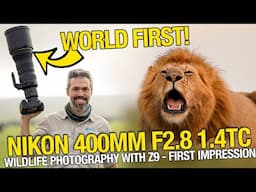 NEW Nikon 400mm F/2.8 with 1.4TC - field review wildlife photography with the Nikon Z9! How is it?