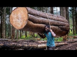 Man Shocks Foresters - World's Lightest Tree BALSA, Kiri - Growing, Harvesting, Processing