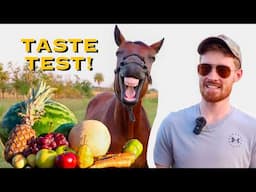 My Horses REACT to NEW FRUITS! (Plus Lemons & Carrots!)