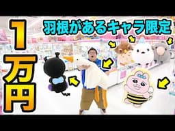 クレーンゲーム１万円で羽根のあるキャラだけ限界取りしたら一体何個取ることが出来るのか?!