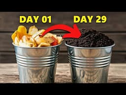 How To Turn Food Waste Into Fertile Soil Fast! In ONE Month!