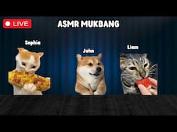 CAT MEMES FAMILY HOLIDAY: ASMR MUKBANG