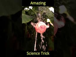 Amazing Science Experiment #shorts