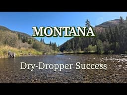 FANTASTIC Dry Dropper action in MONTANA