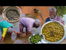 Pond snail collect and cooking in village traditional system | how tribe people clean & cook snail