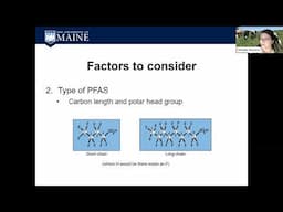 PFAS Dairy Research at the University of Maine