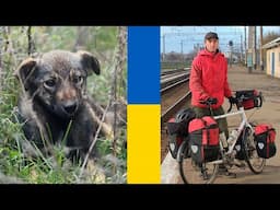 LEAVING UKRAINE 🇺🇦  My heartbreaking video about a stray puppy dog 😭