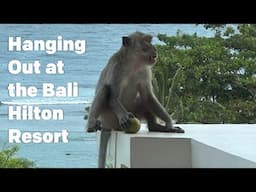 Bali Hilton Resort Review