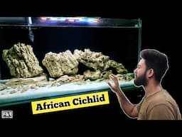 African Cichlid Aquarium | How to setup | Malawi Cichlid