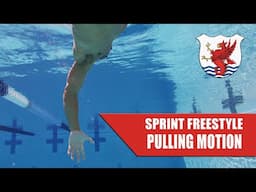 Sprint Freestyle - High Octane Pulling Motion