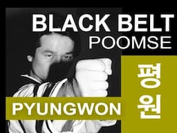 Taekwondo Black Belt Poomse #4 - Poomsae Pyongwon How-To Video