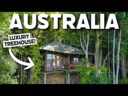 WE SLEPT IN A TREEHOUSE IN A RAINFOREST! (Australia Travel)