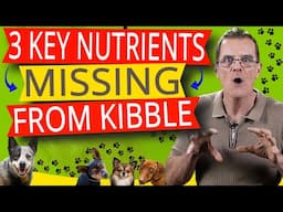 Top 3 Nutritional Deficiencies Of Kibbles (And How To Fix Them)