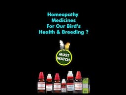 STOP Losing Your Bird to Sickness! Try Homeopathy Medicines By@santanubirdscare