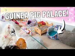 Building the ULTIMATE Guinea Pig Cage! 🐹