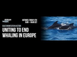 Webinar Recording: Uniting to End Whaling in Europe