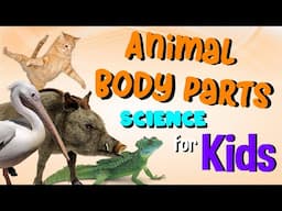 Animal Body Parts | Science for Kids